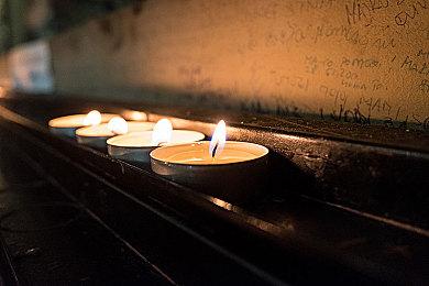 多人在线战术竞技游戏《巨兽战争：狂暴版》即将开启内部测试